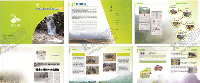 编号：24538806191142413238【酷图网】源文件下载-白鸭画册