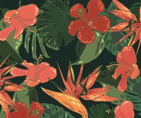 鸡冠花热带花卉无缝背景红