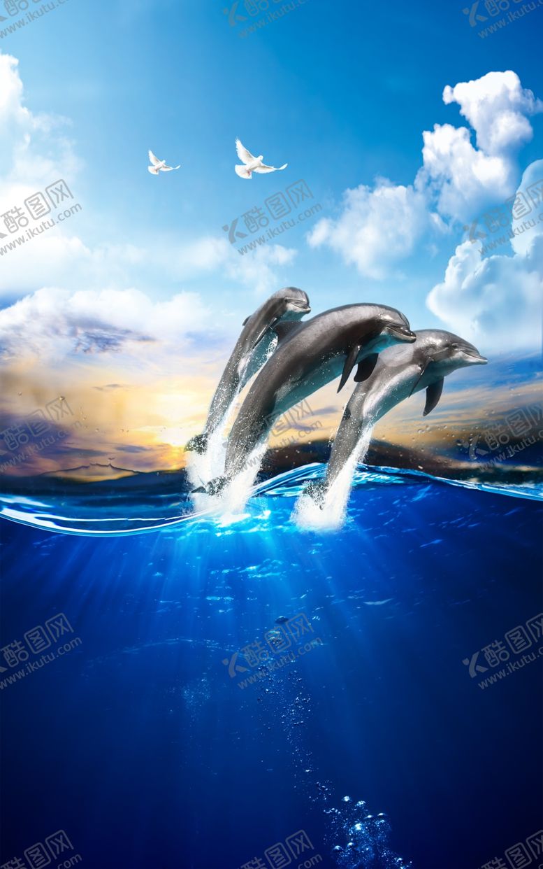 编号：13957207130727006377【酷图网】源文件下载-海豚玄关背景墙