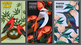 热带花鸟装饰画组合