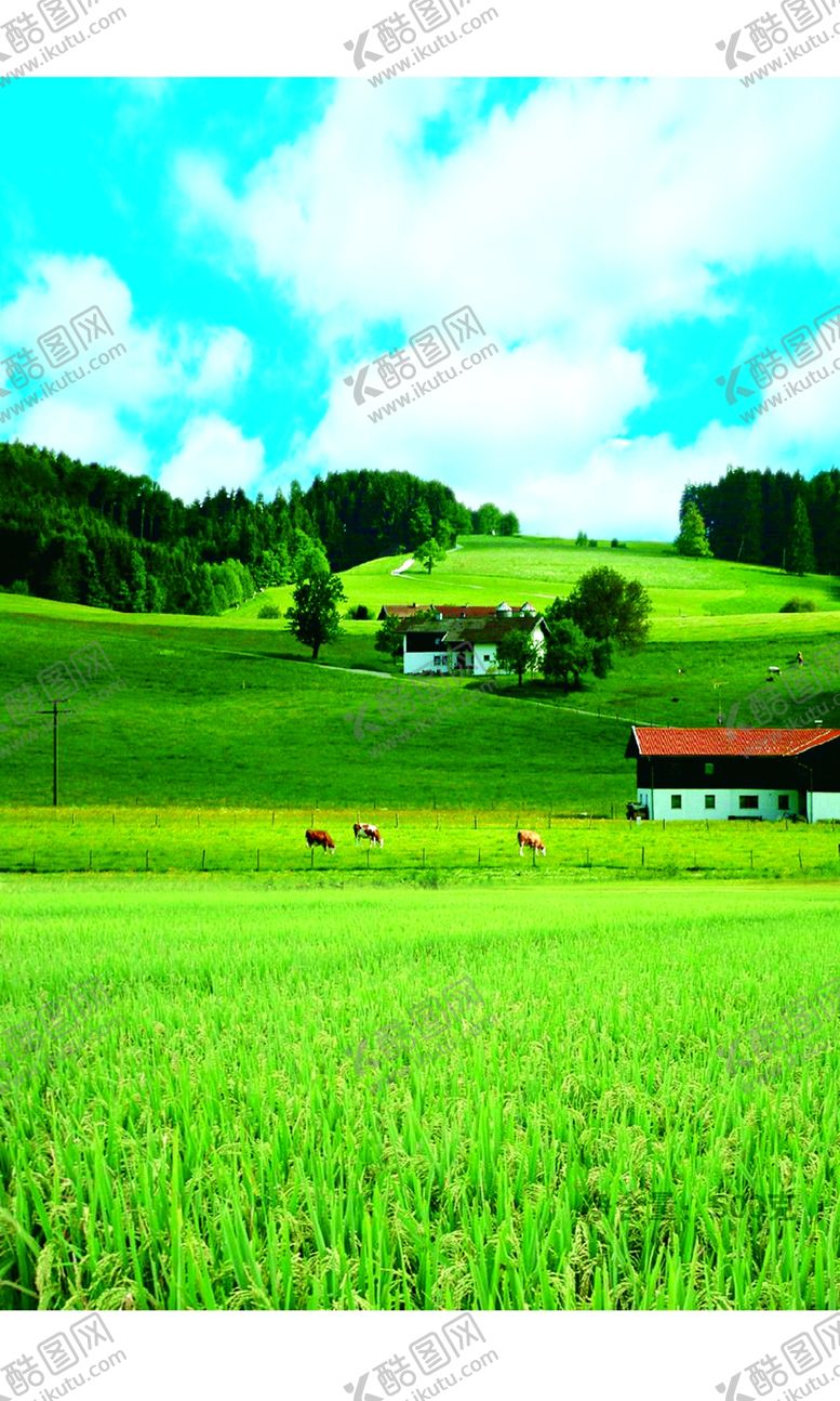 编号：81417710041615409604【酷图网】源文件下载-草原