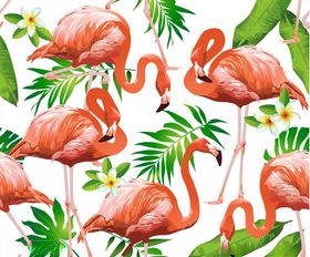 火烈鸟动物手绘松鼠松鼠插画手绘动物