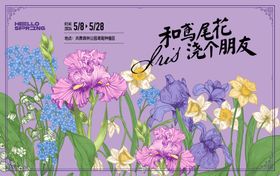 鸢尾花