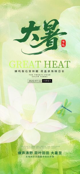 小暑24节气夏天绿色渐变荷叶蜻蜓海报