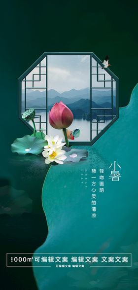 节气促销海报