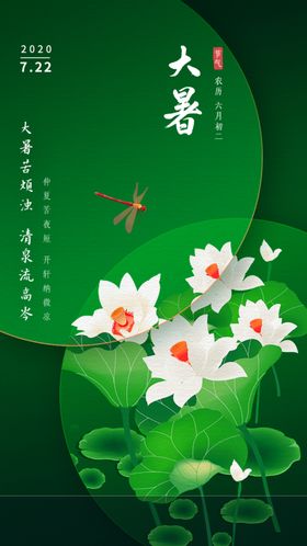 大暑绿色荷花海报