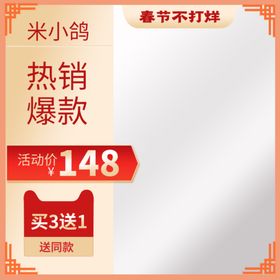 淘宝主图
