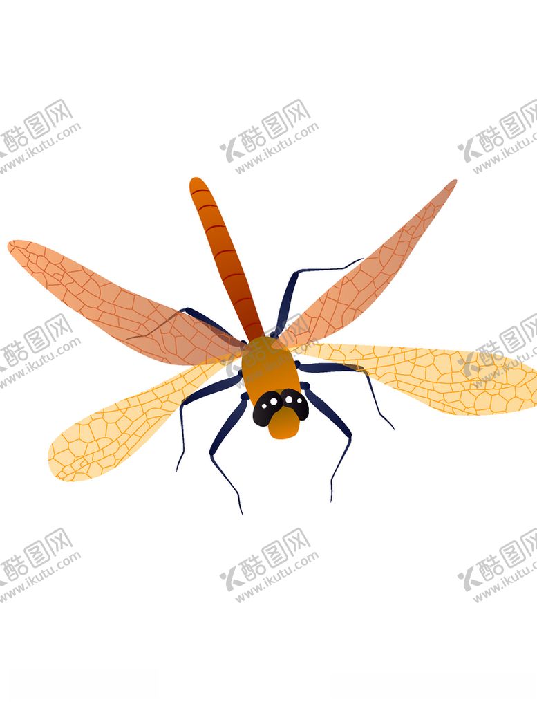 编号：44503106250219286004【酷图网】源文件下载-卡通蜻蜓手绘插画