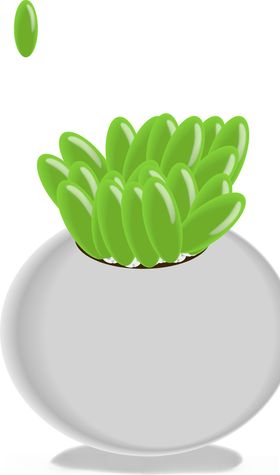 多肉植物小插画
