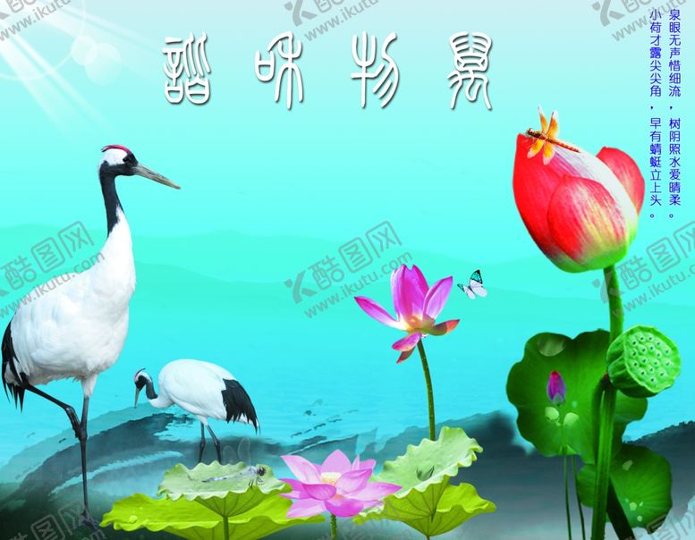 编号：30932409291717064378【酷图网】源文件下载-中国风荷花