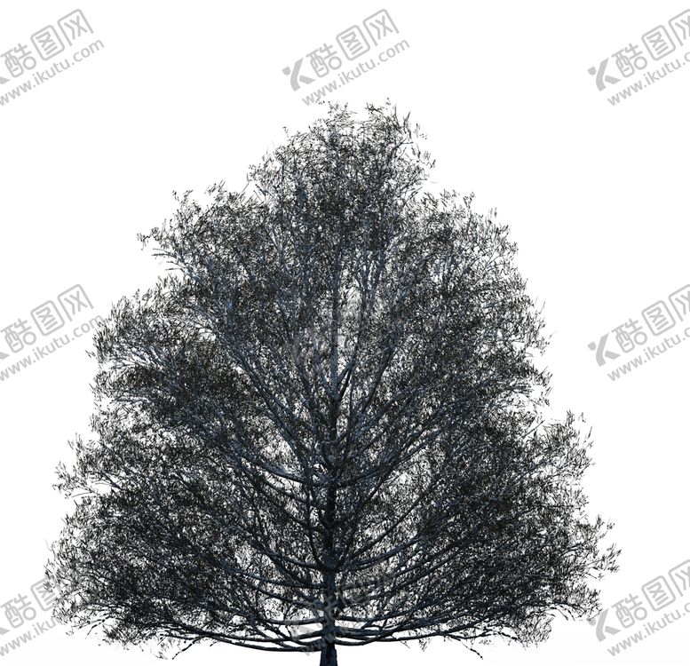编号：47476909141220019746【酷图网】源文件下载-树木
