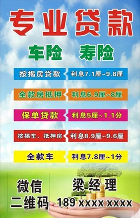 专业贷款