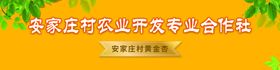 支部领办合作社产品走进城市夜市