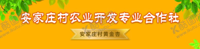 编号：33286010271600138773【酷图网】源文件下载-支部领办合作社产品走进城市夜市