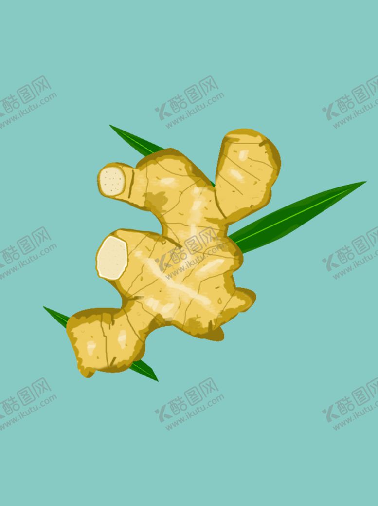 编号：95043710201053572315【酷图网】源文件下载-生姜插画素材