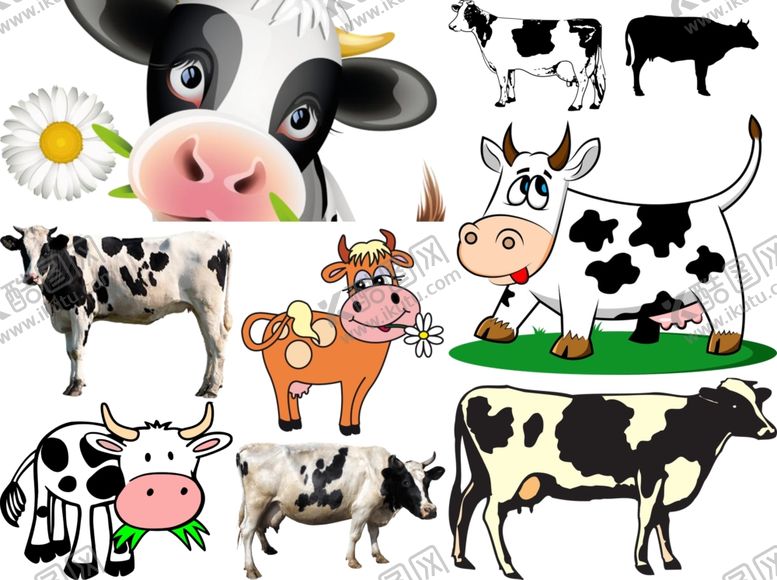 编号：45924509181331167386【酷图网】源文件下载-奶牛png免扣高清素材