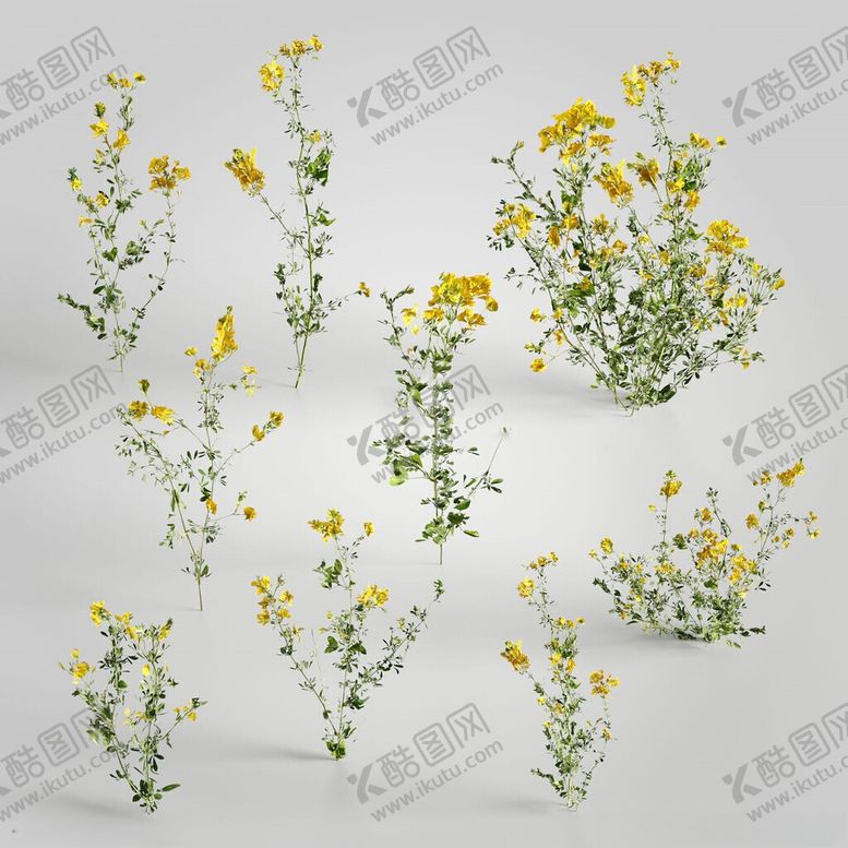编号：54025802170414008848【酷图网】源文件下载-C4D模型绿色植物