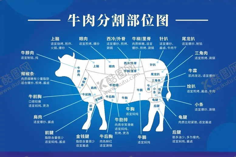 编号：94202812122303169743【酷图网】源文件下载-牛肉分割部位示意图