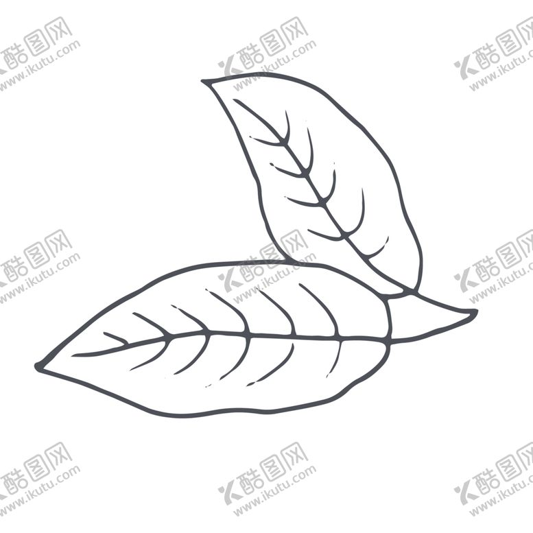 编号：77346306180255417370【酷图网】源文件下载-手绘植物