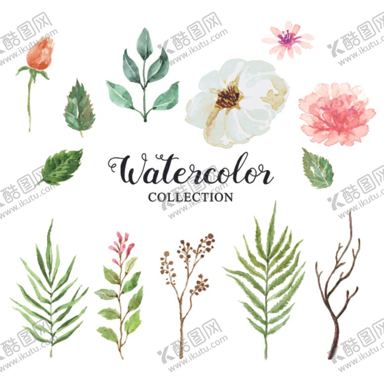 编号：22509809222158127113【酷图网】源文件下载-绿植花卉