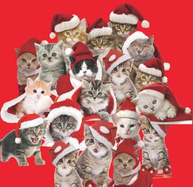 圣诞猫咪无缝背景