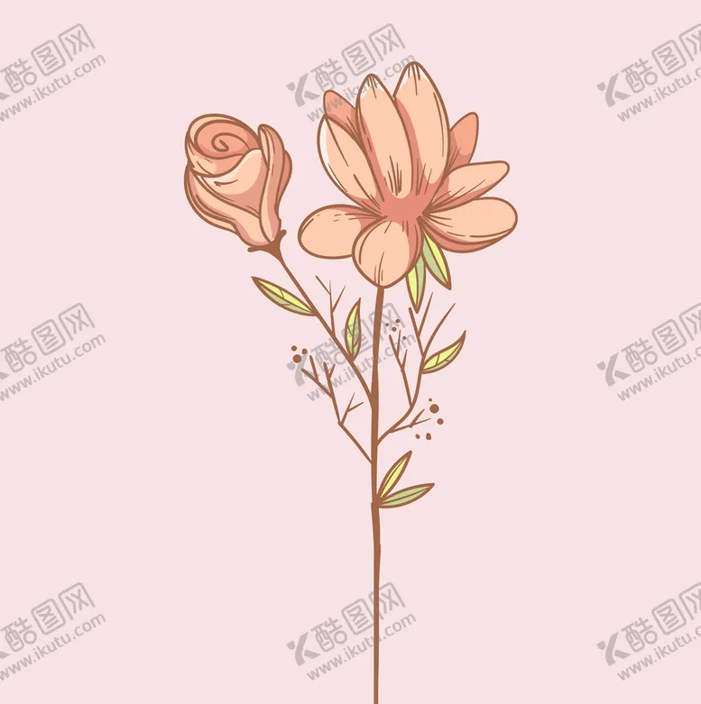 编号：74516010091025314512【酷图网】源文件下载-花卉