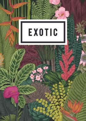 植物插画