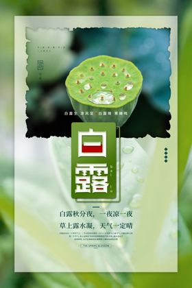 白露海报二十四节气气节气候