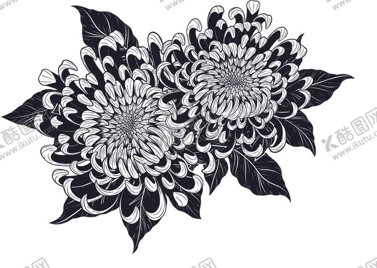 编号：20021610080329582991【酷图网】源文件下载-纯色绘画植物花朵