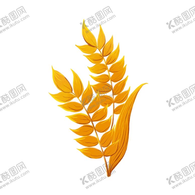 编号：90365602250147084059【酷图网】源文件下载-麦穗