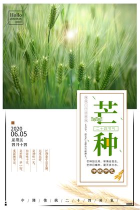 芒种海报