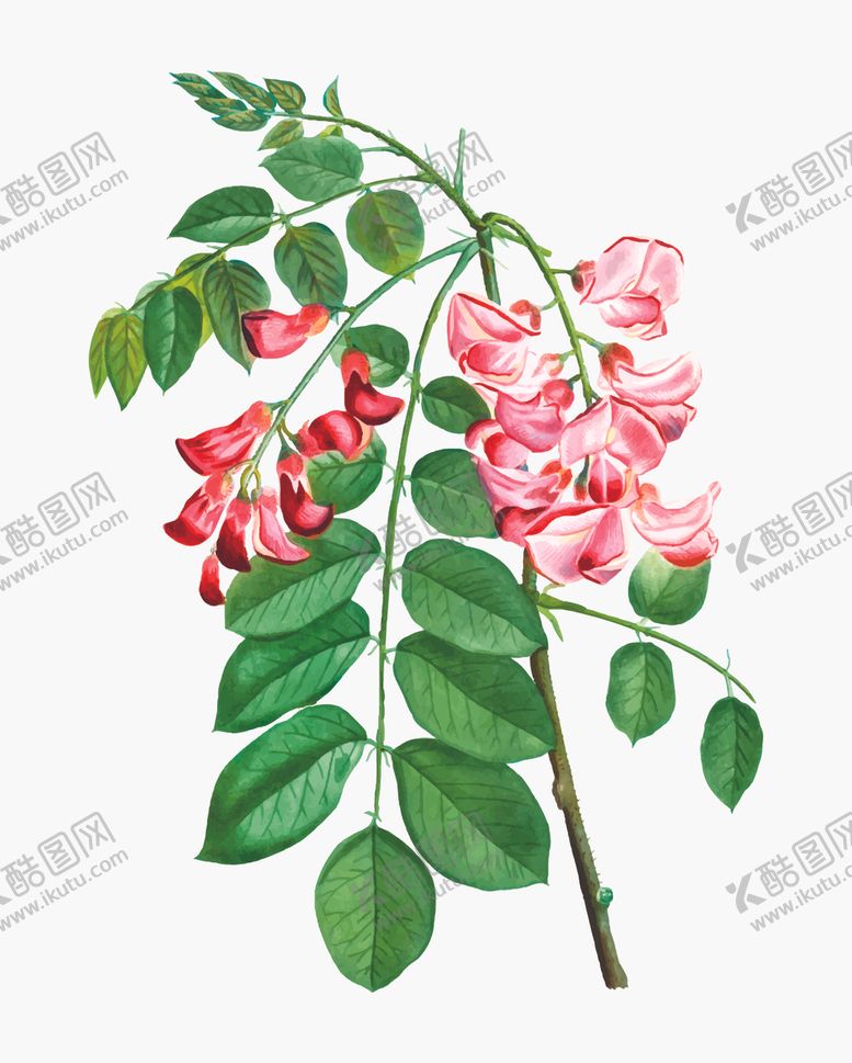 编号：51905809270815103817【酷图网】源文件下载-花纹