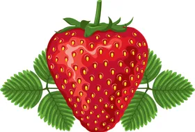 草莓