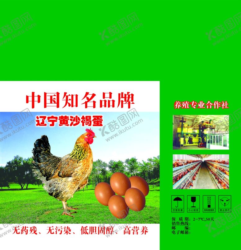 编号：51670310020801485736【酷图网】源文件下载-鸡蛋包装