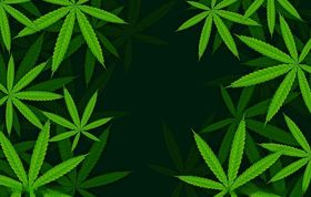 花朵背景植物鲜玫瑰婚礼立体