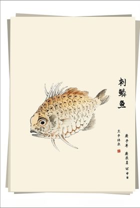 刺鳞鱼水墨画