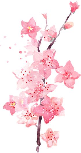 桃花素材梅梅设计春天元