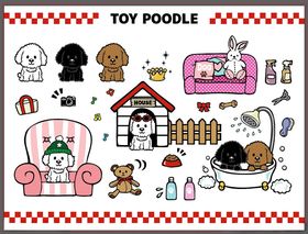 玩具贵宾犬相关可爱插画
