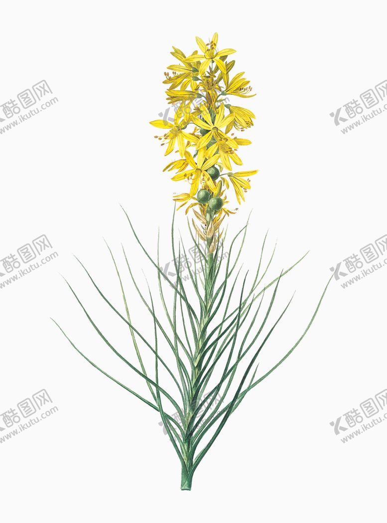 编号：39255507071419347625【酷图网】源文件下载-花纹