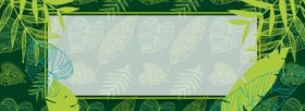 绿色简约植物海报banner