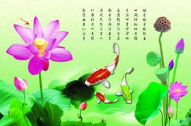 莲花