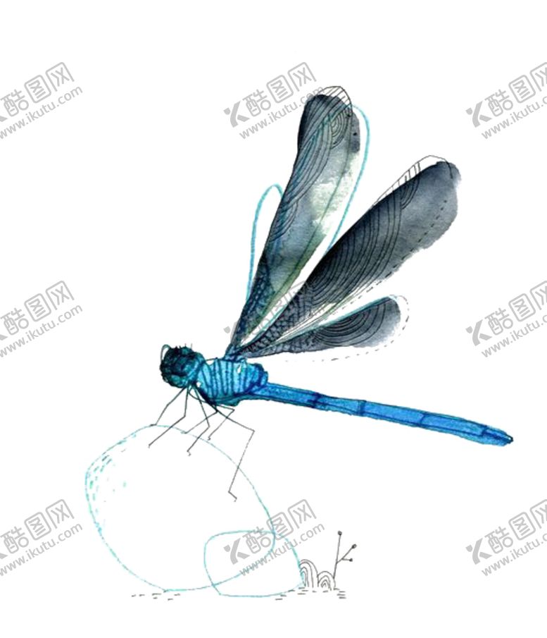 编号：97519405050752472066【酷图网】源文件下载-蜻蜓