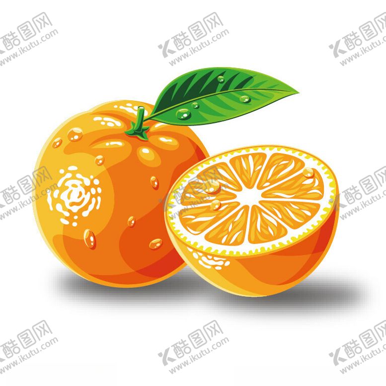 编号：53706502220610387398【酷图网】源文件下载-橘子矢量