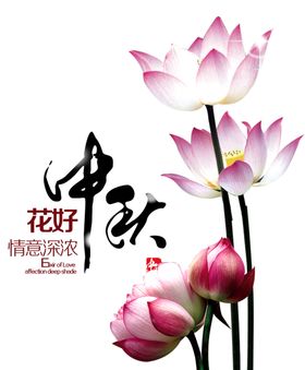 装饰素材