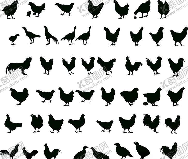 编号：29979211010010097225【酷图网】源文件下载-家禽鸡剪影
