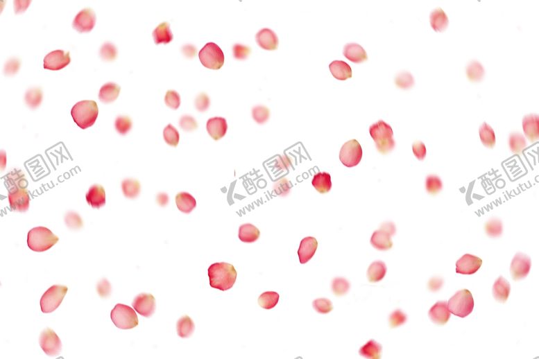 编号：69203410252351517083【酷图网】源文件下载-玫瑰花 