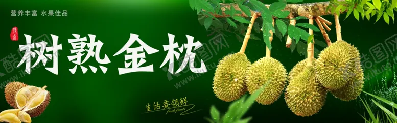 编号：35012501292132022862【酷图网】源文件下载-榴莲