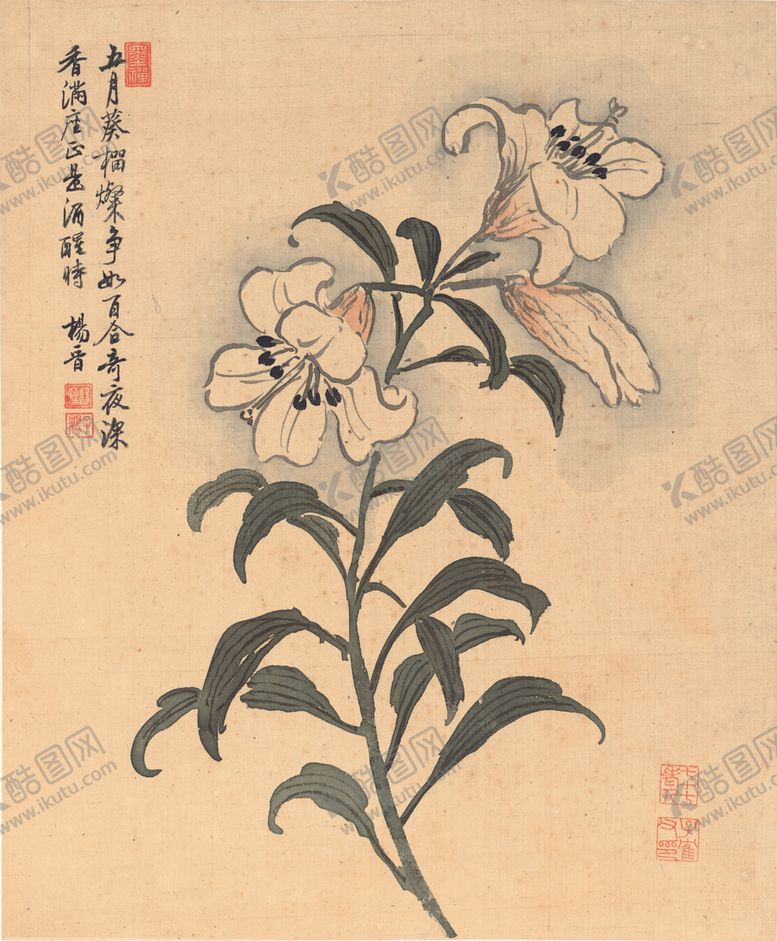 编号：65490709170041583029【酷图网】源文件下载-植物花鸟国画
