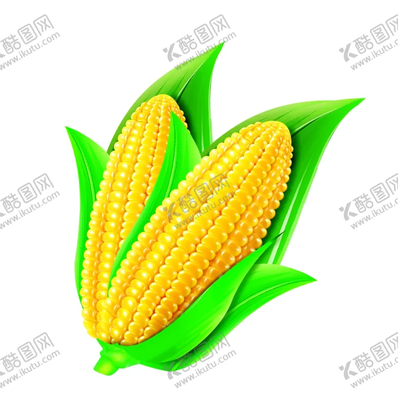 编号：70525507010542355848【酷图网】源文件下载-玉米