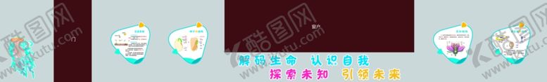 编号：85634402061329338923【酷图网】源文件下载-生物文化墙